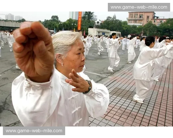 太极老人VS格斗：一场跨越时空的东方智慧与西方力量的对话